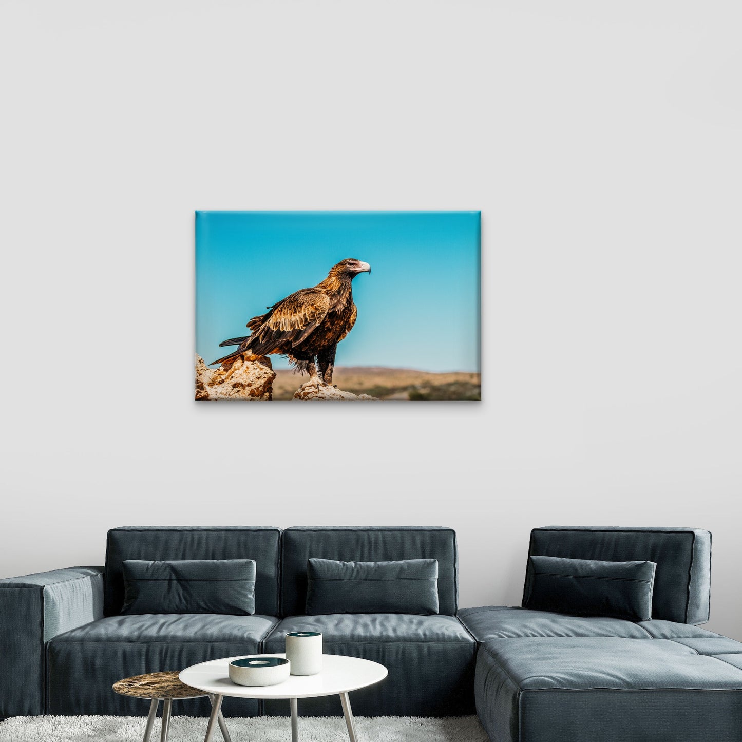 Wedge Tailed Eagle Australia Wall Art Decor 100% Australian Made