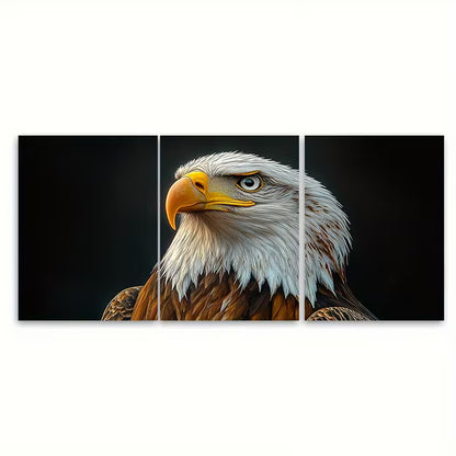 3pcs Bald Eagle Painting Bird Portrait Metal Print Ready to Hang Art