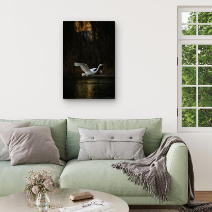 Great Egret Gliding Over Water 60x90cm Metal Print Ready to Hang