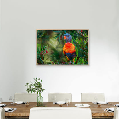 Rainbow Lorikeet Eastern Australia Wall Art Decor 100% Australian Made