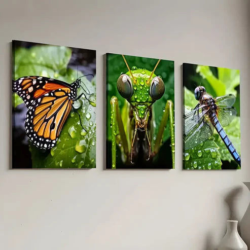 3pcs Nature Creatures Close-Up Animal Art Wall Art Canvas Unframed - High Quality Print 100% Australian Made Wall Canvas