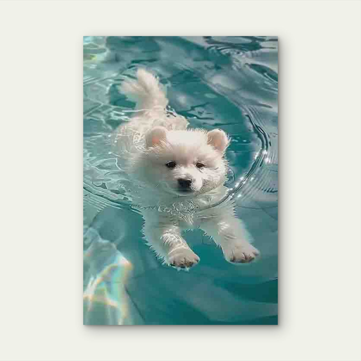 White Puppy Swimming in Water 60x90cm Metal Print Ready to Hang
