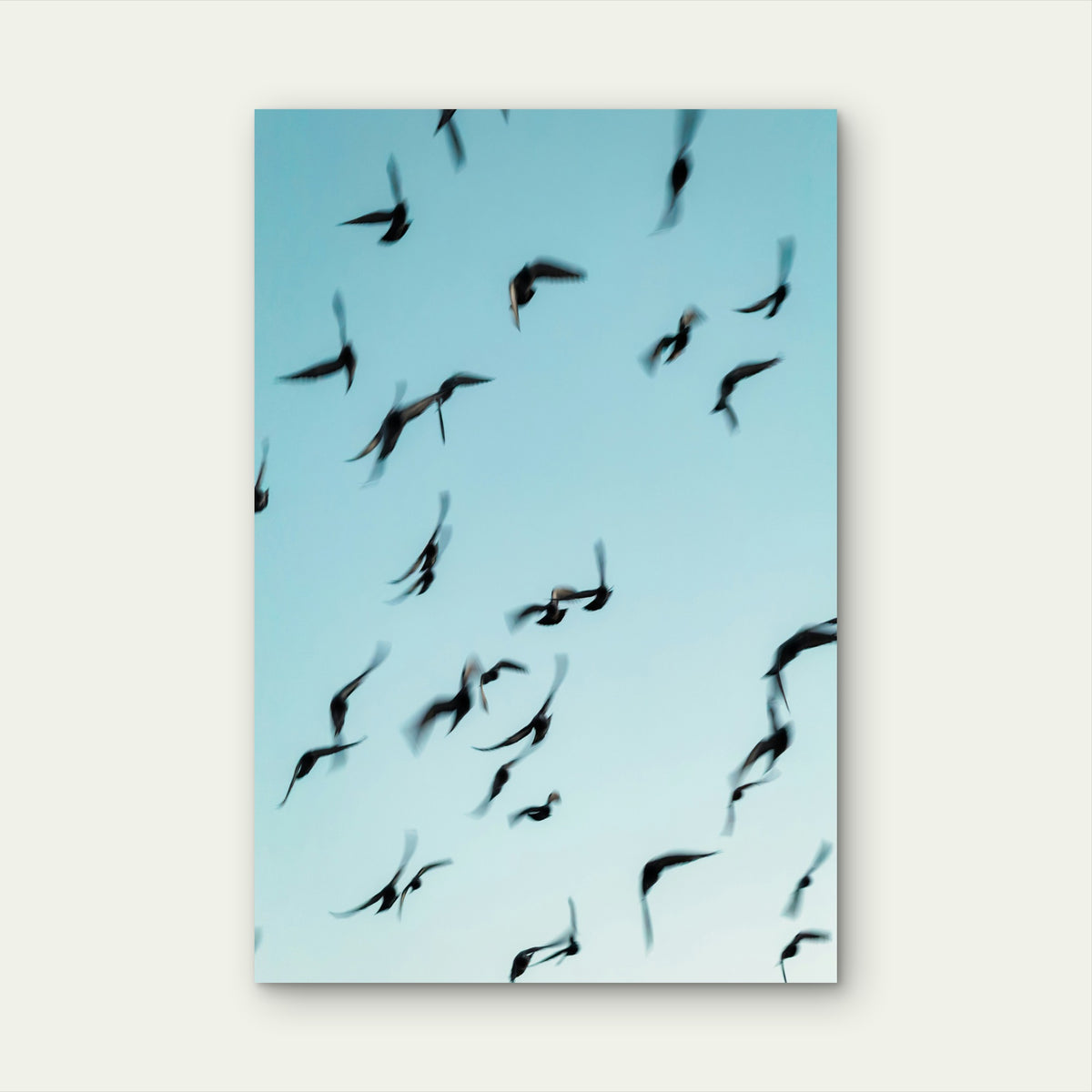 Flock of Birds in Flight Against Light Blue Sky 40x60cm Metal Print Ready to Hang