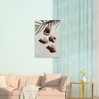 Three Seashells on White with Palm Shadow 60x90cm Metal Print Ready to Hang