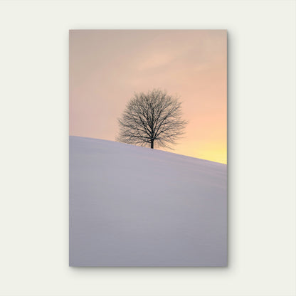 Leafless Tree On A Snow Covered Hill 40x60cm Metal Print Ready to Hang