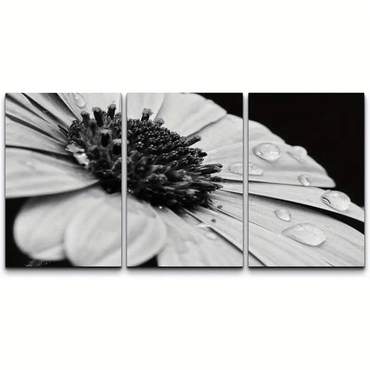 3pcs Black White Daisy With Dew Droplets Canvas Metal Print Ready to Hang Art