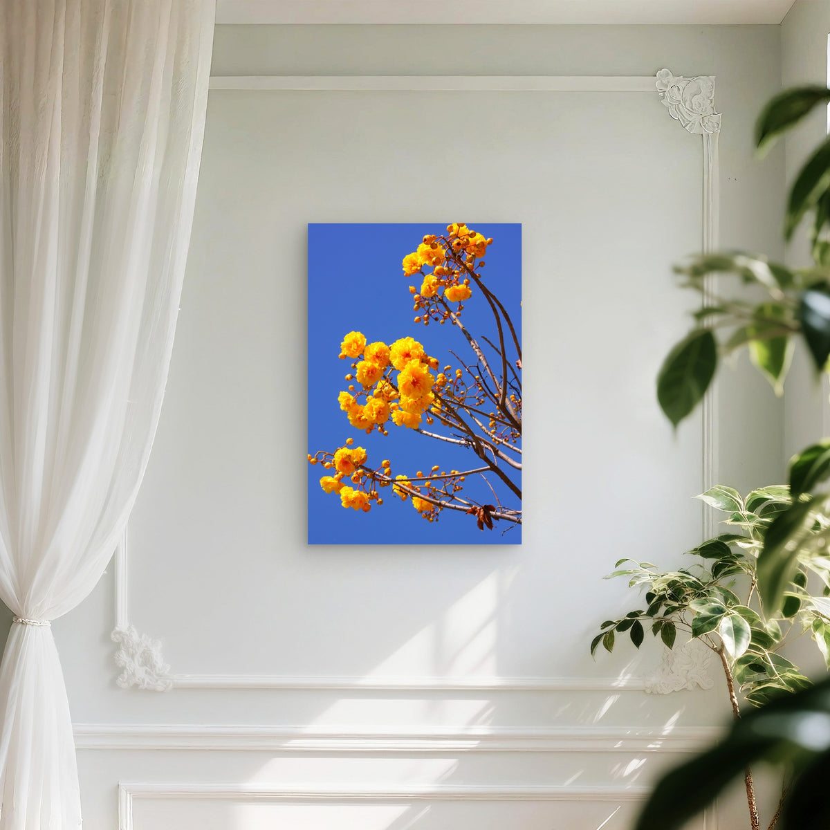 Flowers Of The Yellow Silk Cotton Tree 60x90cm Metal Print Ready to Hang