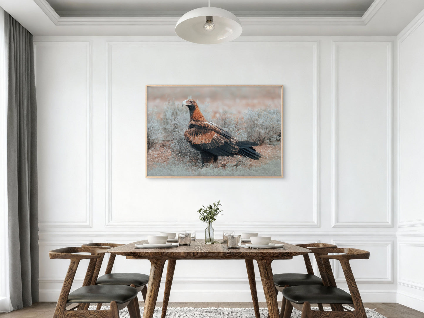 Wedge Tailed Eagle Australia Portrait Wall Art Decor 100% Australian Made