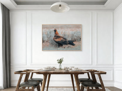 Wedge Tailed Eagle Australia Portrait Wall Art Decor 100% Australian Made
