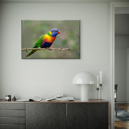 Rainbow Lorikeet Australia Wall Art Decor 100% Australian Made