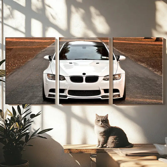 3pcs Supercar Racing Performance Poster Wall Art Set Canvas Framed 60x90cm - High Quality Print 100% Australian Made Wall Canvas Ready to Hang
