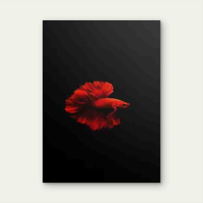 Red Betta Fish Painting 60x90cm Metal Print Ready to Hang
