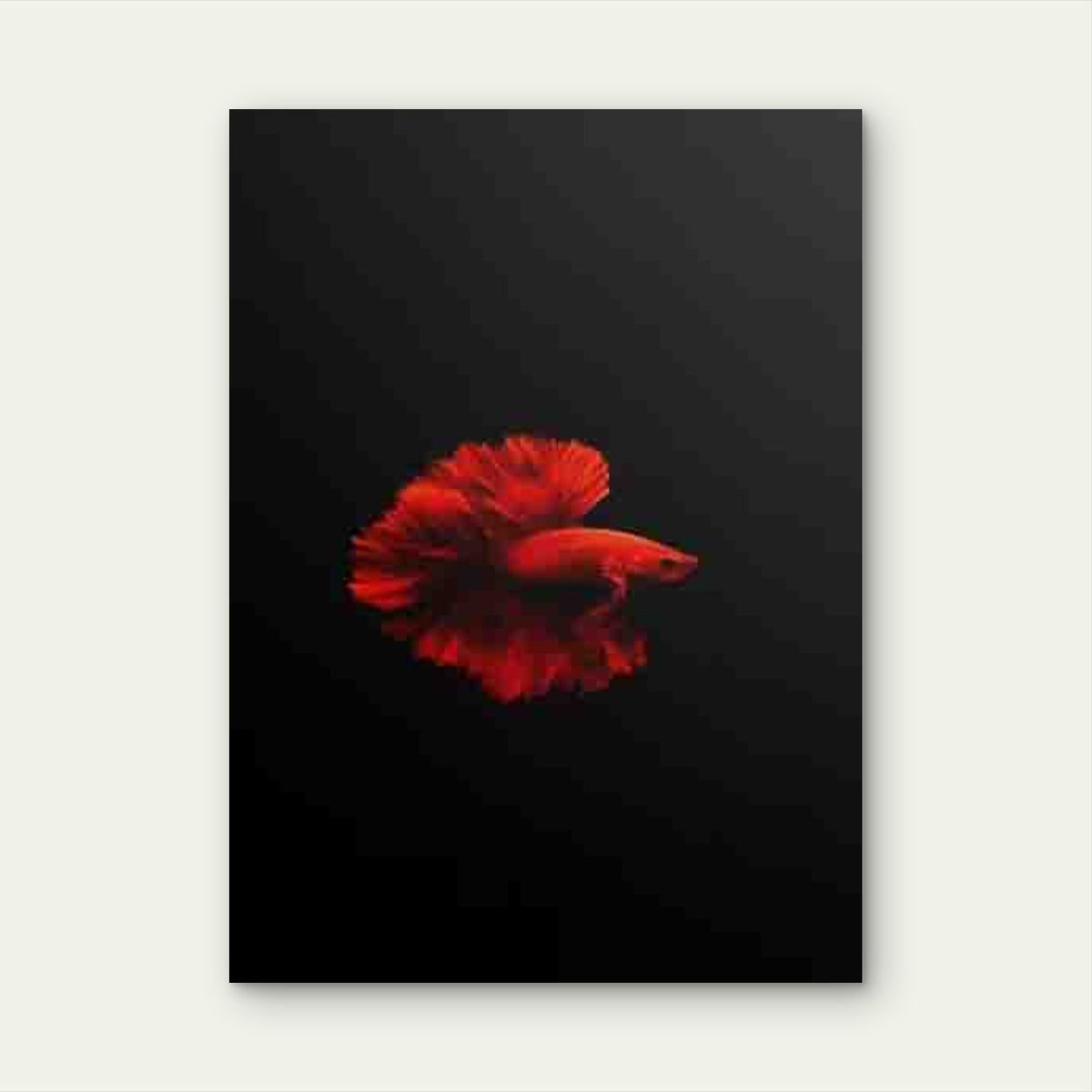 Red Betta Fish Painting Metal Print Ready to Hang