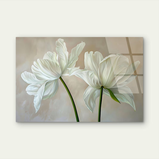 Elegant White Tulips Flowers Botanical Minimalist Neutral Background Acrylic Glass Printing Wall Art Australian Made Quality
