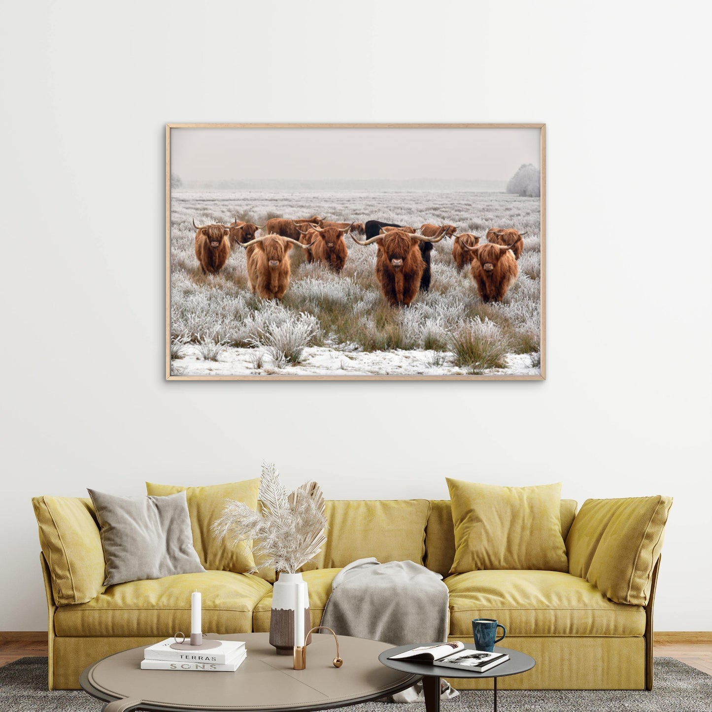Highland Cow herd Photograph Print 100% Australian Made