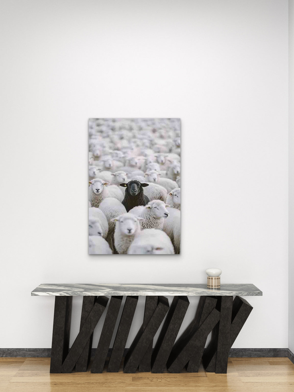 Black Sheep Among the Flock 60x90cm Metal Print Ready to Hang