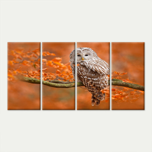 4pcs Splendid Autumn Forest Owl Bird Branch Wall Art Canvas Framed 45x80cm - High Quality Print 100% Australian Made Wall Canvas Ready to Hang