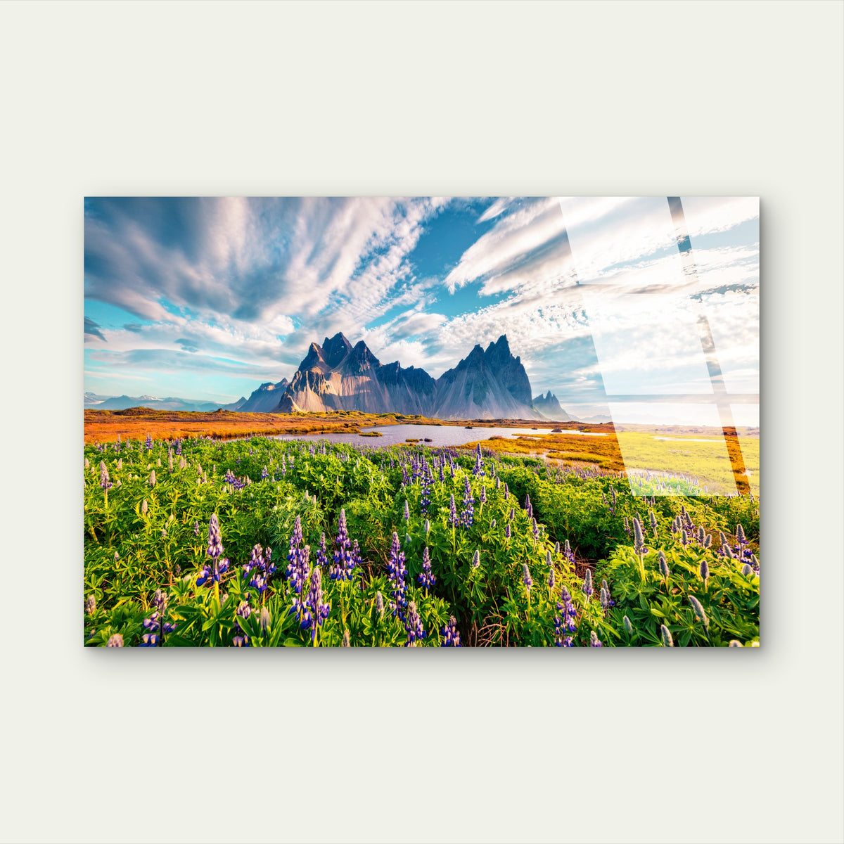 Iceland Vestrahorn Mountain Lupine Field Acrylic Glass Printing Wall Art Australian Made Quality
