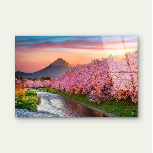 Mount Fuji Japan Cherry Blossom River Glass Printing Wall Art Australian Made Quality