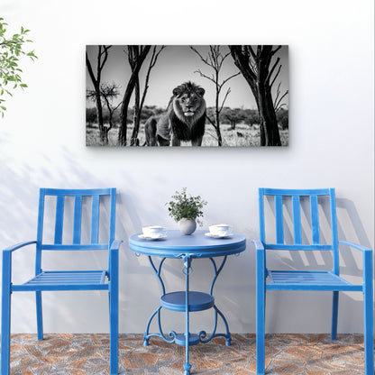 Abstract Black White Lion Safari Wall Art Canvas Office Home Framed 120x60cm