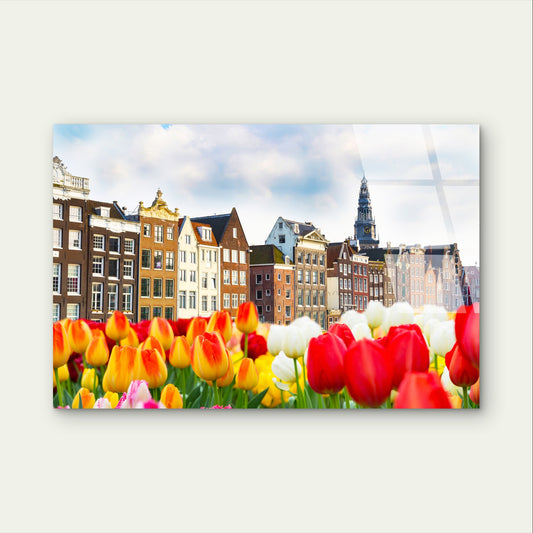 Amsterdam Netherlands Tulip Canal Art Acrylic Glass Printing Wall Art Australian Made Quality