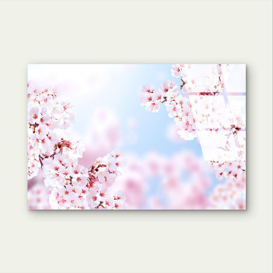 Japanese Sakura Pink Cherry Blossoms Acrylic Glass Printing Wall Art Australian Made Quality