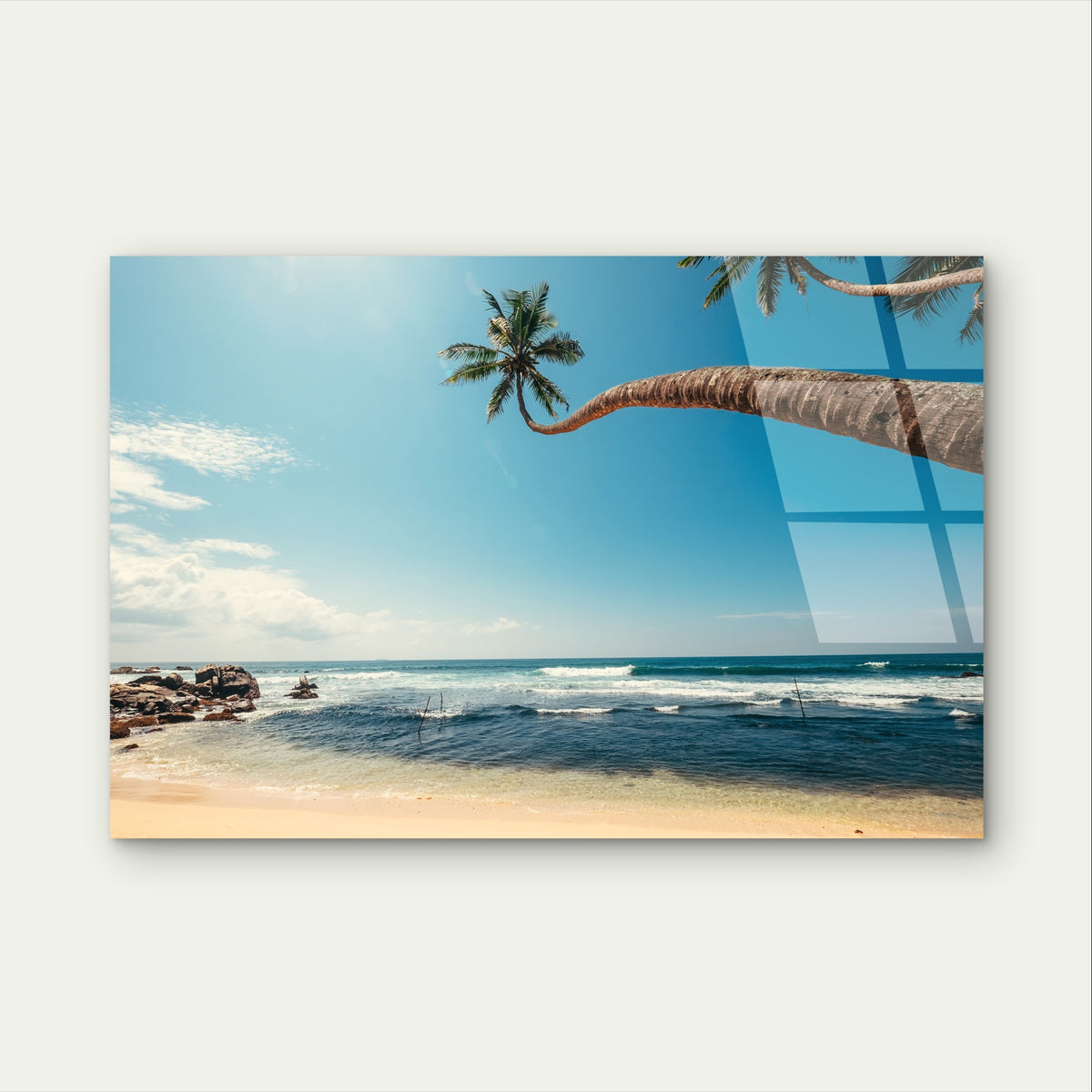 Tropical Ocean Beach Leaning Palm Tree Acrylic Glass Printing Wall Art Australian Made Quality