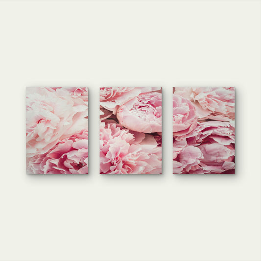 3pcs Blush Pink Peony Flower Floral Bloom Wall Art Set Canvas Framed 40x60cm - High Quality Print 100% Australian Made Wall Canvas Ready to Hang