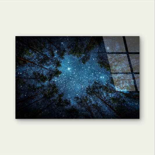 Starry Night Sky Forest Trees Canopy Acrylic Glass Printing Wall Art Australian Made Quality