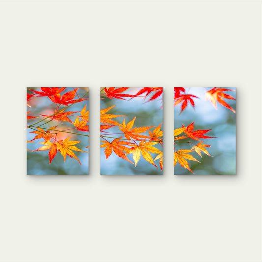 3pcs Orange Red Yellow Maple Tree Leaves Foliage Wall Art Set Canvas Framed 40x60cm - High Quality Print 100% Australian Made Wall Canvas Ready to Hang