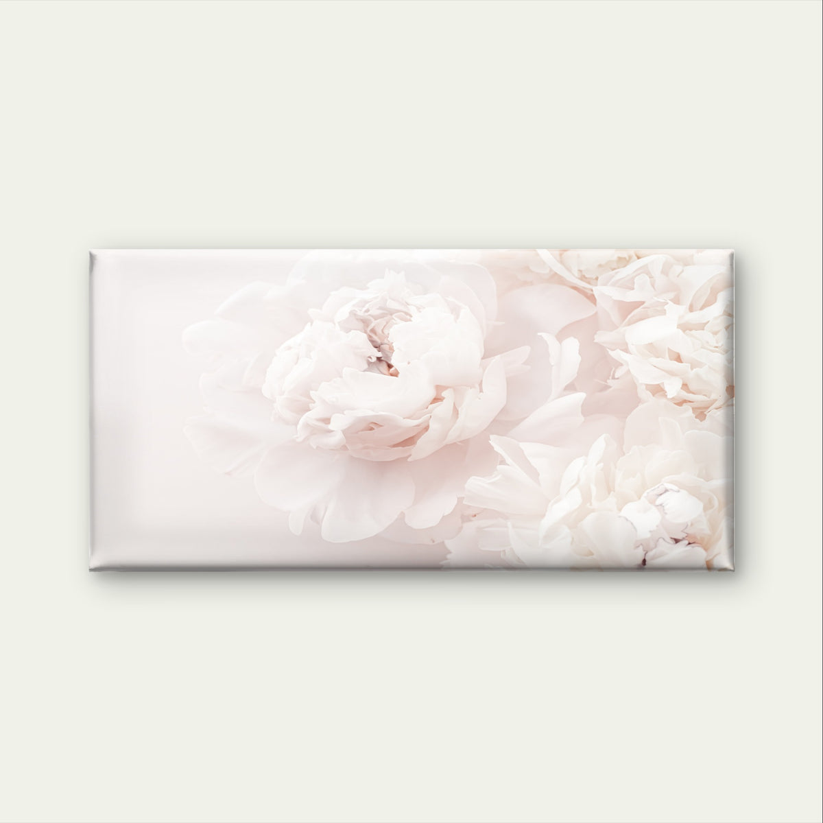 Blush Pink Peony Flower Petals Soft Wall Art Canvas Office Home Framed 120x60cm