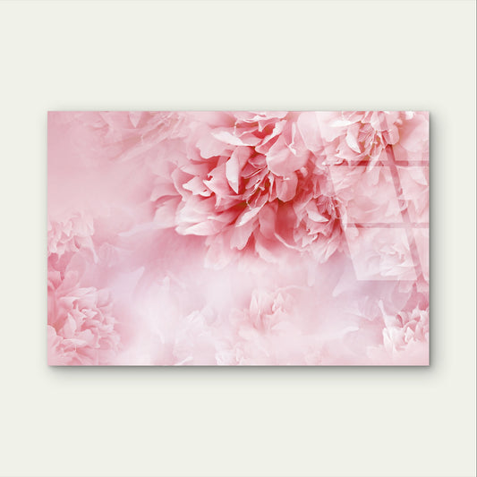 Pink Peony Flower Petals Rose Carnation Acrylic Glass Printing Wall Art Australian Made Quality
