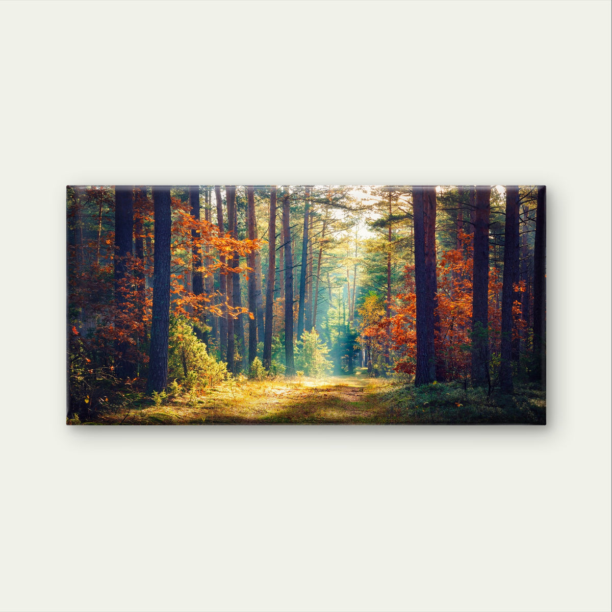 Autumn Forest Path Sunlit Tree Pine Wall Art Canvas Office Home Framed 120x60cm