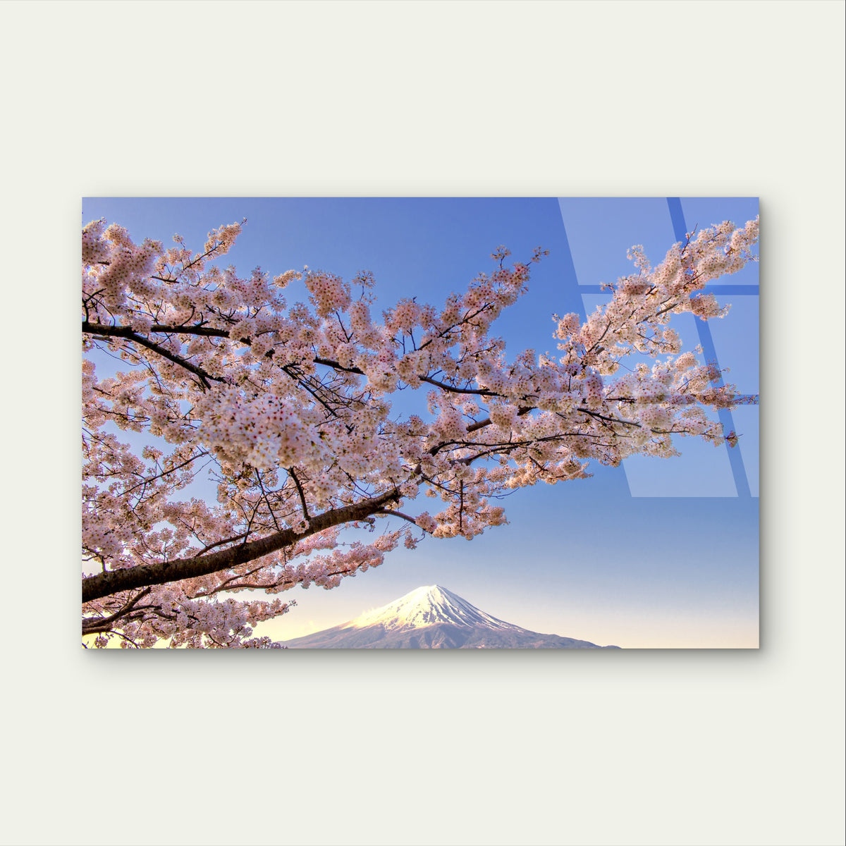 Japan Fuji Cherry Blossom Sakura Spring    Acrylic Glass Printing Wall Art Australian Made Quality