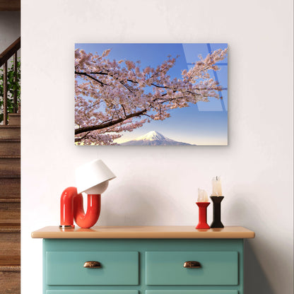 Japan Fuji Cherry Blossom Sakura Spring    Acrylic Glass Printing Wall Art Australian Made Quality