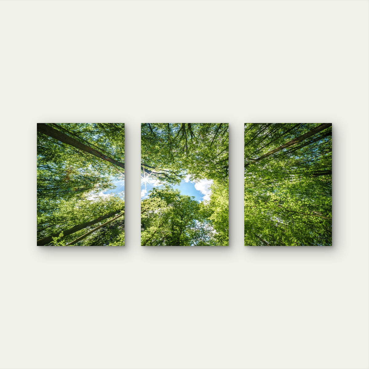 3pcs Vibrant Green Forest Canopy Tree Nature Wall Art Set Canvas Framed 50x70cm - High Quality Print 100% Australian Made Wall Canvas Ready to Hang