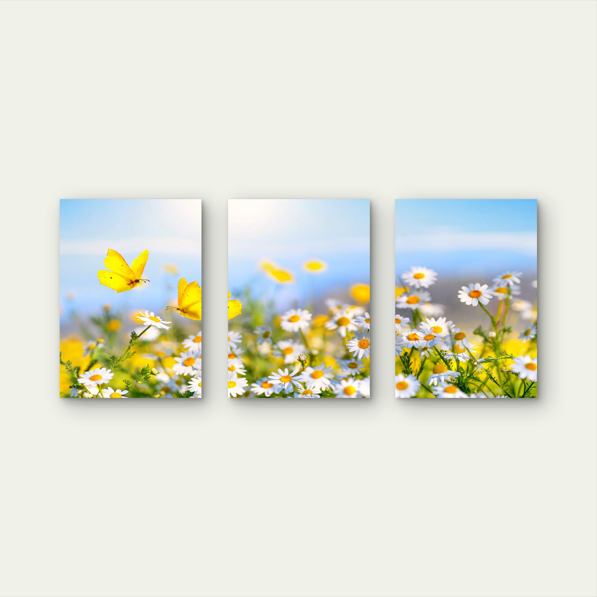 3pcs Daisy Meadow Yellow Butterfly Floral Nature Wall Art Set Canvas Framed 40x60cm - High Quality Print 100% Australian Made Wall Canvas Ready to Hang