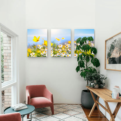 3pcs Daisy Meadow Yellow Butterfly Floral Nature Wall Art Set Canvas Framed 50x70cm - High Quality Print 100% Australian Made Wall Canvas Ready to Hang
