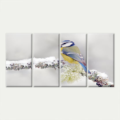 4pcs Splendrous Blue Tit Bird Snow Branch Wall Art Canvas Framed 45x80cm - High Quality Print 100% Australian Made Wall Canvas Ready to Hang