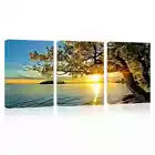 3pcs Peaceful Tree Sunset Lake Sky View Canvas Unframed - High Quality Print 100% Australian Made Wall Canvas
