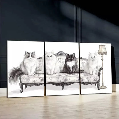 3pcs Black & White Cats In Sofa Canvas Framed 40x60cm - High Quality Print 100% Australian Made Wall Canvas Ready to Hang