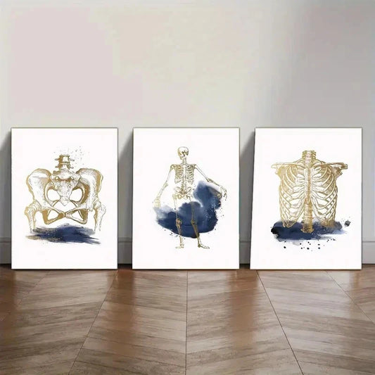 3pcs Medicine Print Physical Relax Orthopedic Metal Print Ready to Hang Art