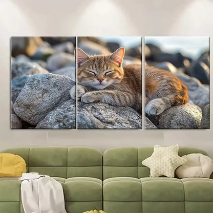 3pcs Seaside Adventure Cat on Rocks Metal Print Ready to Hang Art