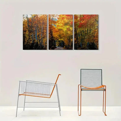 3pcs Autumn Forest Pathway Nature Wall Art Canvas Unframed - High Quality Print 100% Australian Made Wall Canvas