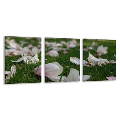 3pcs Elegant Floral Painting with Green Grass Wall Art Set Canvas Framed 40x60cm - High Quality Print 100% Australian Made Wall Canvas Ready to Hang