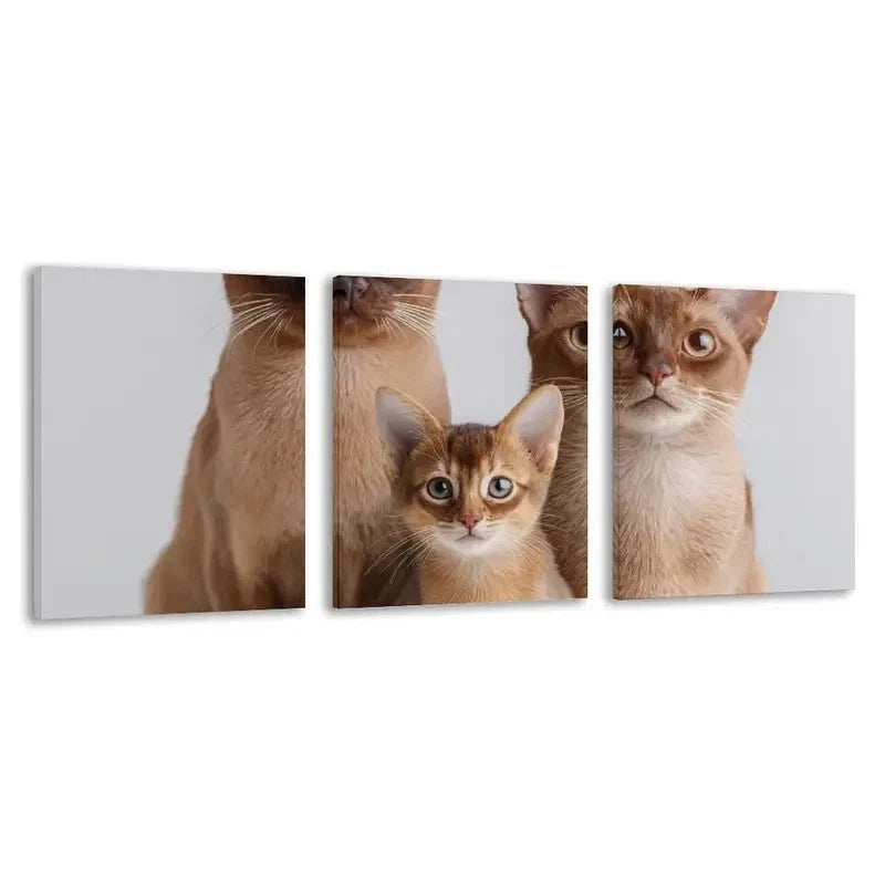 3pcs Three Brown Cats of Different Sizes Wall Art Set Canvas Framed 40x60cm - High Quality Print 100% Australian Made Wall Canvas Ready to Hang