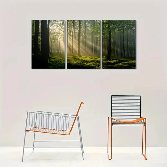 3pcs Sunshine Through the Trees Forest Wall Art Set Canvas Framed 40x60cm - High Quality Print 100% Australian Made Wall Canvas Ready to Hang