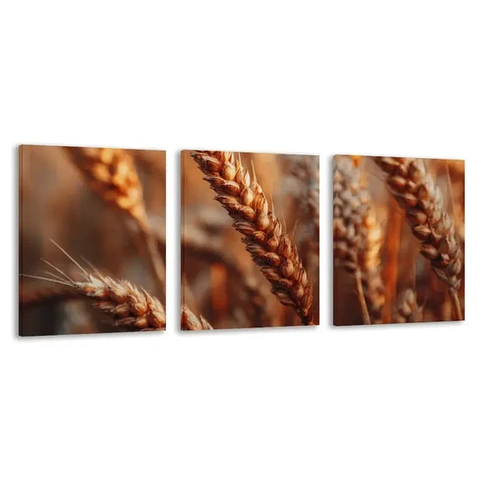 3pcs Golden Wheat Stalks in Brown & Tones    Wall Art Set Canvas Framed 60x90cm - High Quality Print 100% Australian Made Wall Canvas Ready to Hang