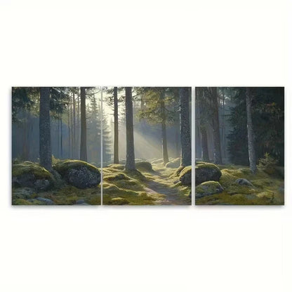 3pcs Black Forest in Morning Mist Wall Art Set Canvas Framed 50x70cm - High Quality Print 100% Australian Made Wall Canvas Ready to Hang