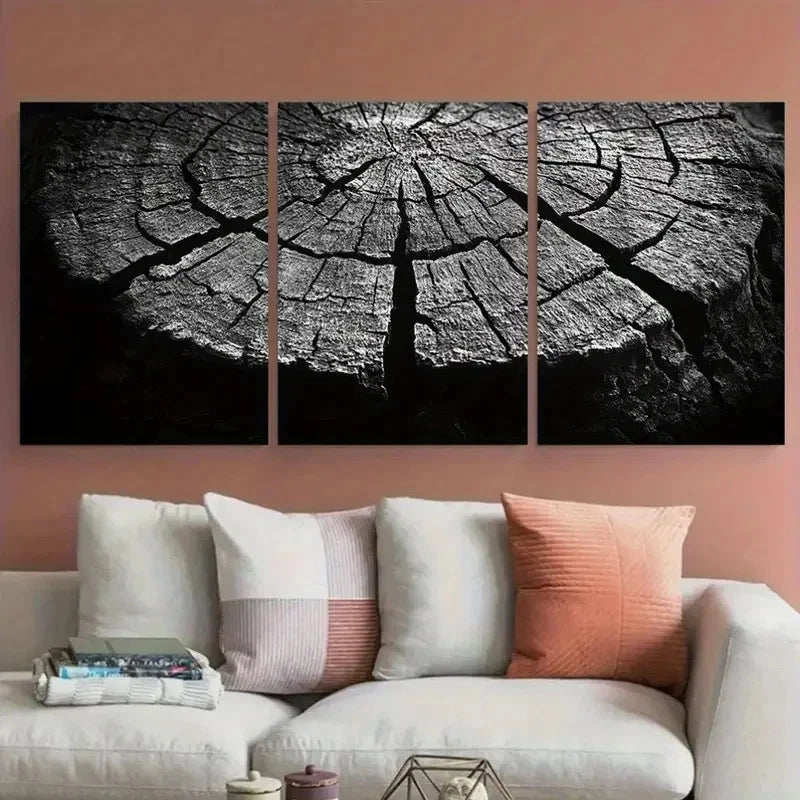 3pcs Abstract Monochrome Tree Trunk Cross Section Wall Art Set Canvas Framed 40x60cm - High Quality Print 100% Australian Made Wall Canvas Ready to Hang